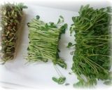 豆苗とツナのゆず胡椒パスタ作り方2写真
