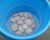 愛知の魚100選外　カガミガイの煮付け作り方1写真