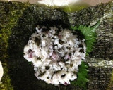 楽ちん子供が喜ぶ爆弾おにぎり（≧∇≦）作り方5写真
