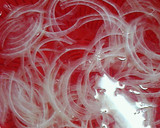やわらぎ・玉ねぎ・かにかまの和え物作り方1写真
