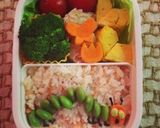 【キャラ弁】簡単はらぺこあおむし作り方6写真