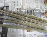 ★フキの下処理・灰汁抜き★（覚書）作り方3写真