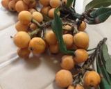 びわのコンポート(白ワインver.)作り方1写真