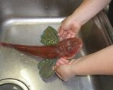 愛知の魚100 ホウボウのアクアパッツァ作り方1写真