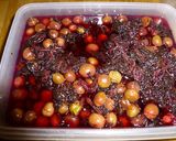 梅の砂糖漬け（子供でも食べられます）作り方6写真