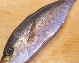 イサキのトマトクリーム煮作り方1写真