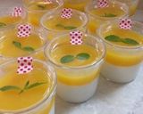 ヨーグルトなのに濃厚レアチーズケーキ作り方10写真