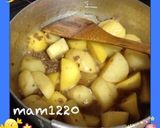 簡単☆ジャガイモと挽肉の煮物♪作り方3写真