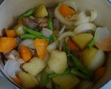 鶏肉とじゃがいもの甘辛煮作り方3写真