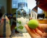 2週間足らずでできる！梅シロップ作り方1写真