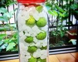 2週間足らずでできる！梅シロップ作り方2写真
