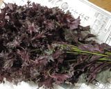 梅干の漬け方②～赤じそ編～作り方1写真
