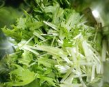 簡単☆水菜サラダ作り方1写真