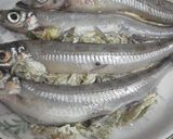 中華料理人直伝 レンジで白身魚の昆布蒸し作り方3写真