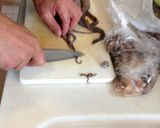 生ダコから作る圧力鍋でたこのやわらか煮作り方4写真