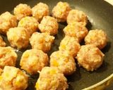 お弁当にも◎ 高野豆腐入り＊ミートボール作り方3写真