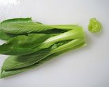 簡単お惣菜♪青梗菜とイカの塩炒め作り方2写真