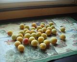塩分３％の梅漬け作り方1写真