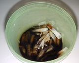 豚しゃぶ肉で柔らか生姜焼き定食♬作り方2写真