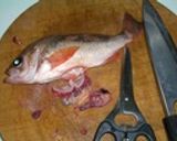 赤メバルの煮付け作り方2写真