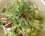 鶏ささみのサラダ★梅しそハニーポン酢ドレ作り方5写真