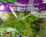 乾燥わかめで簡単！パッケージサラダ和風で作り方1写真