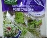 わさびドレッシングサラダ作り方1写真