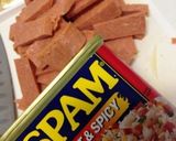 Chilli Spam Chanpuru作り方2写真
