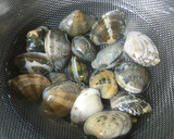 レンジでできちゃうあさりの酒蒸し作り方1写真