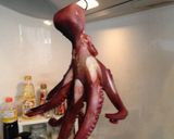 激ウマ★生だこから作る絶品湯だこ作り方11写真