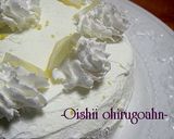 簡単さわやか!ブラジル式レモンクリーム作り方10写真