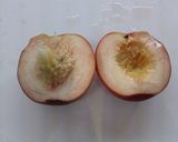 教えたい!きれいな桃のむき方作り方2写真