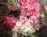旨い！じっくり甘辛の牛ごぼう寿司作り方5写真