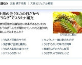 夏の土用の丑に簡単ひつまぶし風うなぎご飯作り方10写真