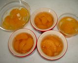 みかん缶詰のゼリー作り方5写真