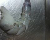 エビニラ餃子作り方2写真