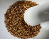 からし粉作り方1写真