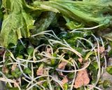 かぼす香るピーマンとツナと塩昆布のサラダ作り方4写真