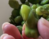 空豆のゆで方と下ごしらえ♪作り方4写真