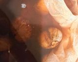 栗の渋皮煮♪♪作り方9写真