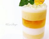ヴェリーヌ・マング(マンゴー)2013作り方16写真