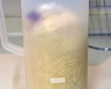 ホシノ天然酵母でカスピ海ヨーグルト食パン作り方2写真