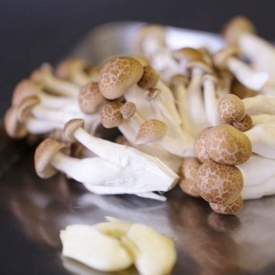 鶏肉としめじのやわらか甘酢煮。 by abichi 【クックパッド】 簡単