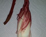 月下美人の酢味噌和え作り方3写真