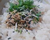 おにぎり:しそとちりめん高菜作り方3写真