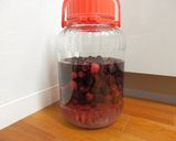 ブラックベリー酒（果実酒）経過日記作り方10写真