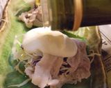 豚しゃぶサラダ巻き前菜✿チーズソースがけ作り方6写真