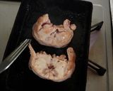 兎肉のソテー～蒼兎～作り方7写真