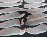 簡単！もやしとニラin肉巻き♪作り方1写真