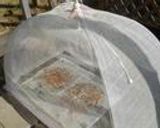 金柑ピール。作り方6写真